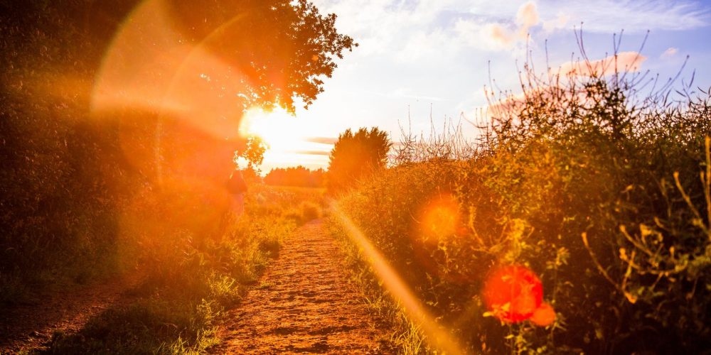 През нощта ще преобладава ясно време Ще духа слаб в