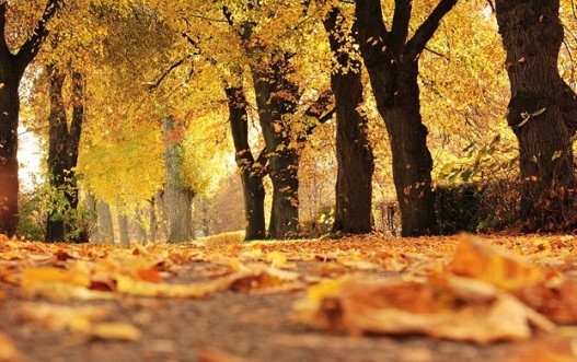 Днес над страната ще има променлива по често значителна облачност Привечер