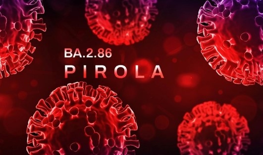 В София е доказан случай на подварианта Пирола на варианта Омикрон