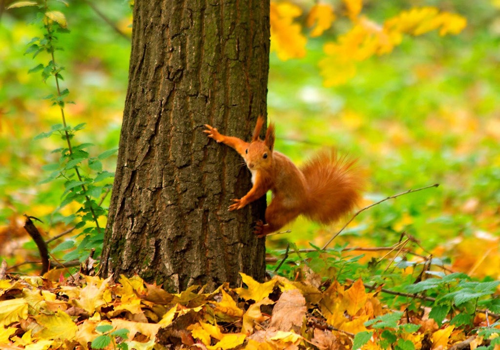 До сутринта ще превали и на много места и в