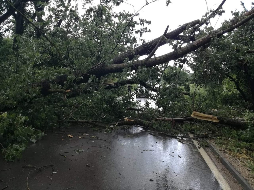 Екипите на дирекцията Аварийна помощ и превенция в столицата са