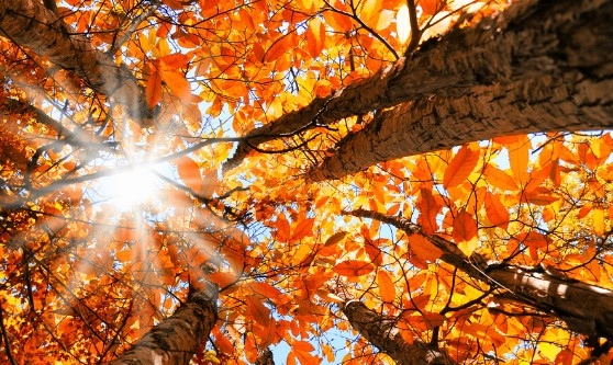 Днес ще бъде слънчево с разкъсана висока облачност Ще духа