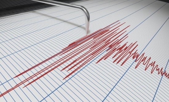 Земетресение с магнитуд 4,8 е било регистрирано тази сутрин в