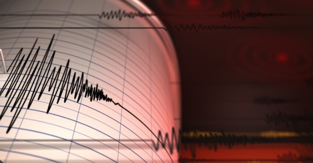 Земетресение с магнитуд 5 бе регистрирано край югозападния американски щат