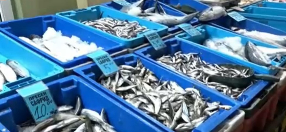 Необичайното топлото време по българското Черноморие превърна прясната риба в