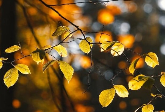 Днес през страната ще премине студен атмосферен фронт Преди обяд