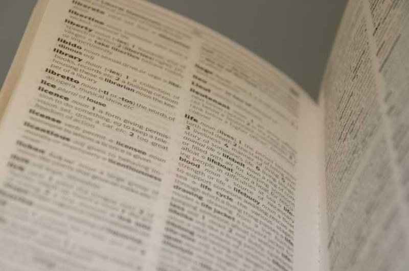 Кеймбриджкият речник Cambridge Dictionary обяви халюциниране за дума на годината