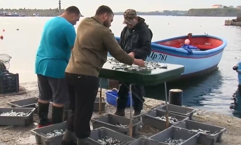 Седмици преди Никулден рибари по Южното Черноморие се оплакват от