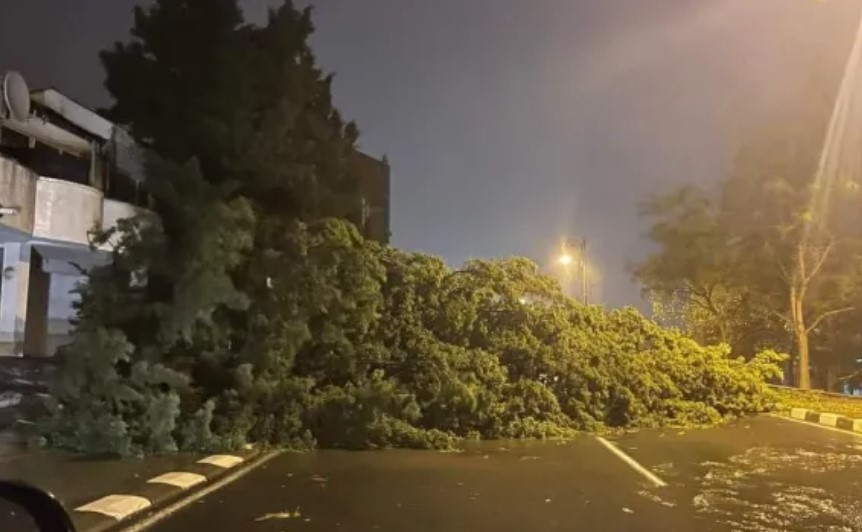 Ураганият вятър блокира пътища и в района на Бургас Временно