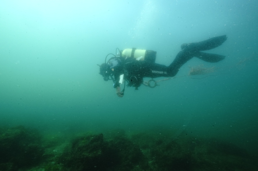 Бълбукащи рифове са регистрирани от учените за пръв път в акваторията на Черно море в района на Зеленка, плажът при Ропотамо и Аладжа банка