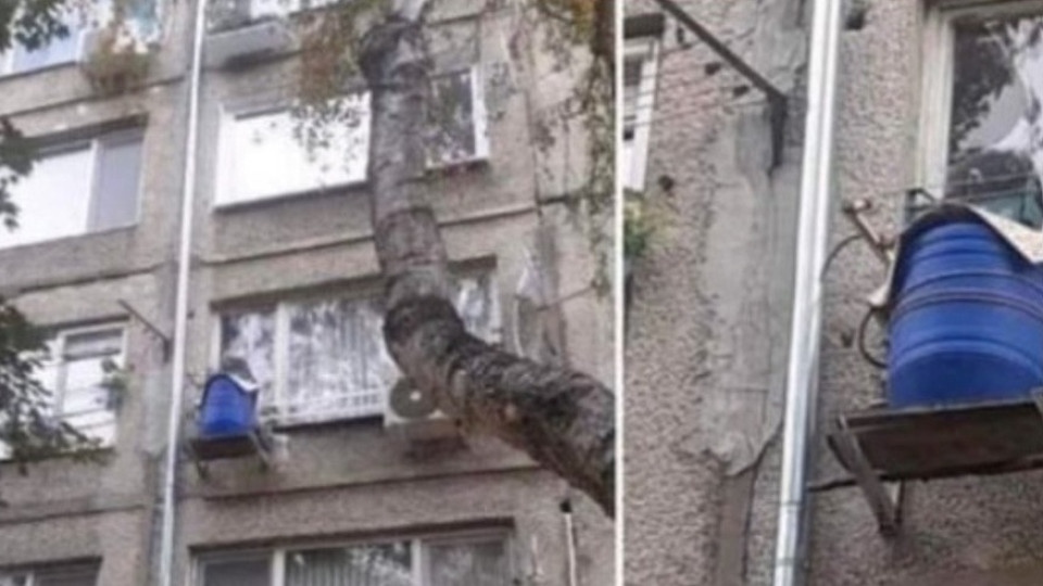 Дори и в 21 ви век нашият сънародник не може да