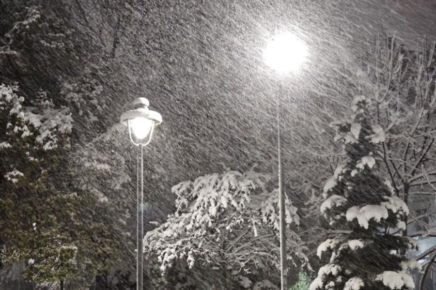 До 35 см сняг в София: Над 100 сигнала за паднали клони и дървета