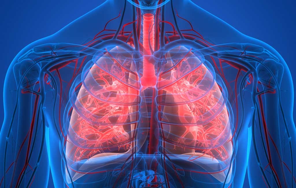 Подобно на Китай няколко европейски държави наблюдават нарастващи случаи на