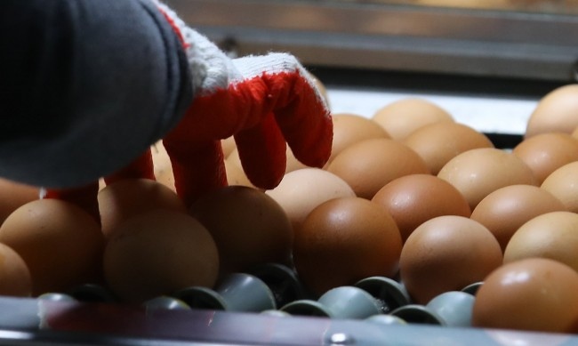 Основни храни в България са по скъпи отколкото в Германия и