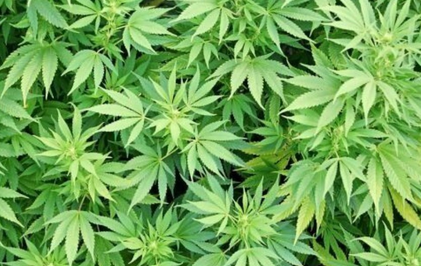 Върховната Рада на Украйна прие нов закон с който се