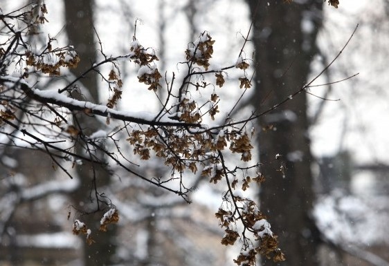 Днес ще преобладава слънчево време с по знчителна облачност преди обяд