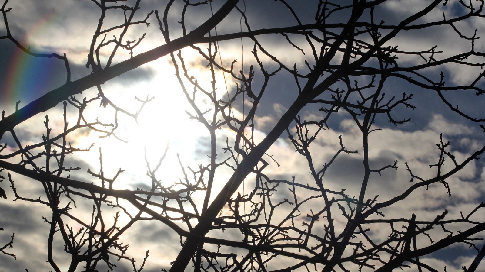 През нощта над по голямата част от страната ще е безоблачно