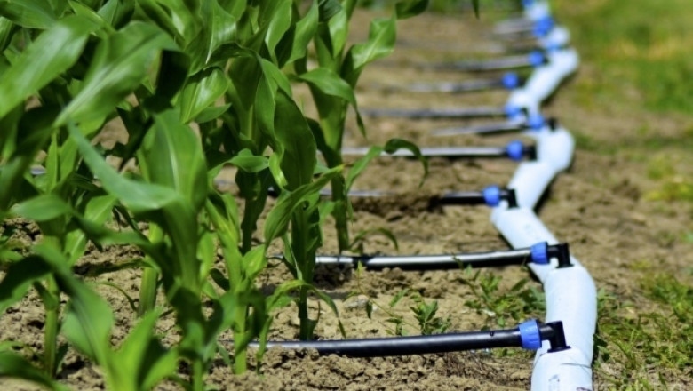 Държавата най накрая започна да обръща внимание на напояването което е