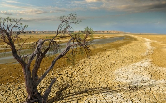 Снимка: ООН алармира: Четвърт от човечеството е засегнато от екстремна суша