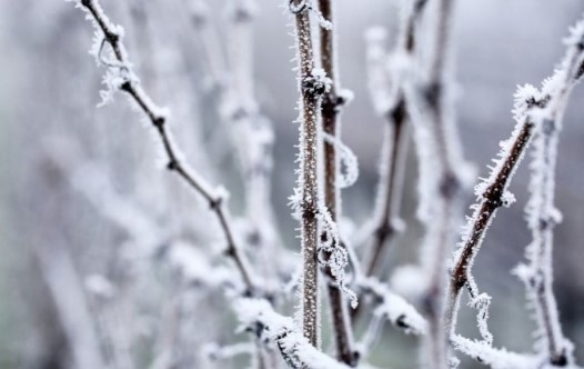След затоплянето в средата на седмицата в събота вечерта и