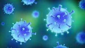 Началото и края на грипните епидемии се бележат от една