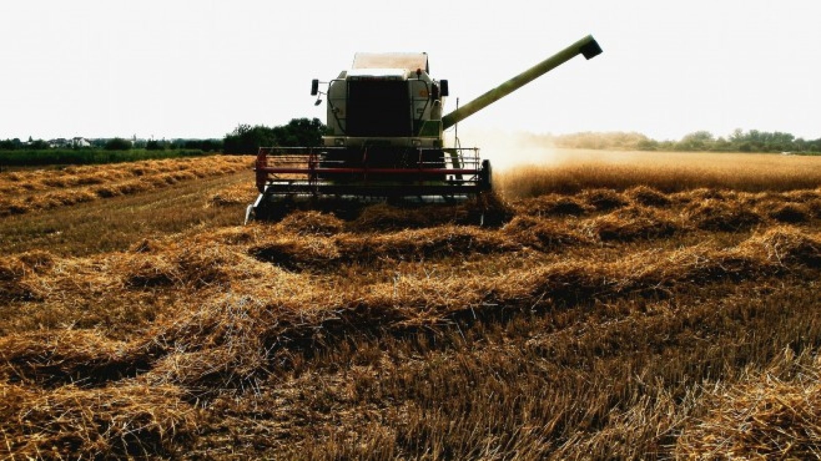 Недоволни фермери и превозвачи от Румъния ще протестират в Букурещ