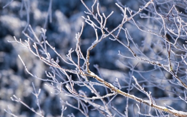 Сутринта ще е мразовито През деня над повечето райони ще