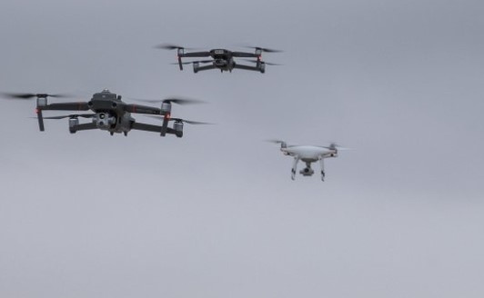 В Ленинградска област е разкрит канал за контрабанда на наркотици