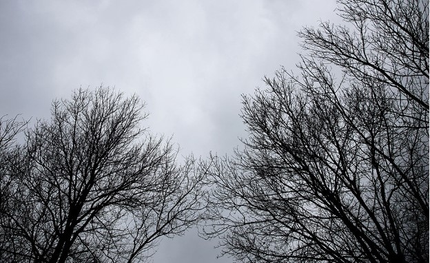 Днес облачността ще е по често значителна и на места ще