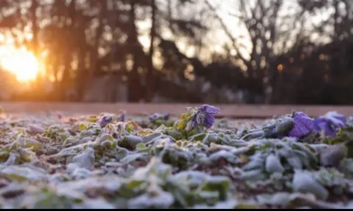 През нощта облачността ще намалява но ще остане ветровито предаде