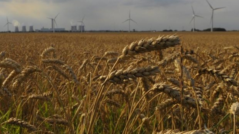 Протестите са свързани с финансирането за така наречената украинска помощ