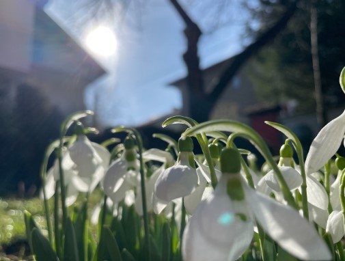 За втори пореден ден е рекордно топло за сезона в