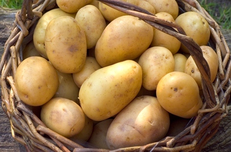 Въпреки примирието: Производителите на картофи продължават с протестите