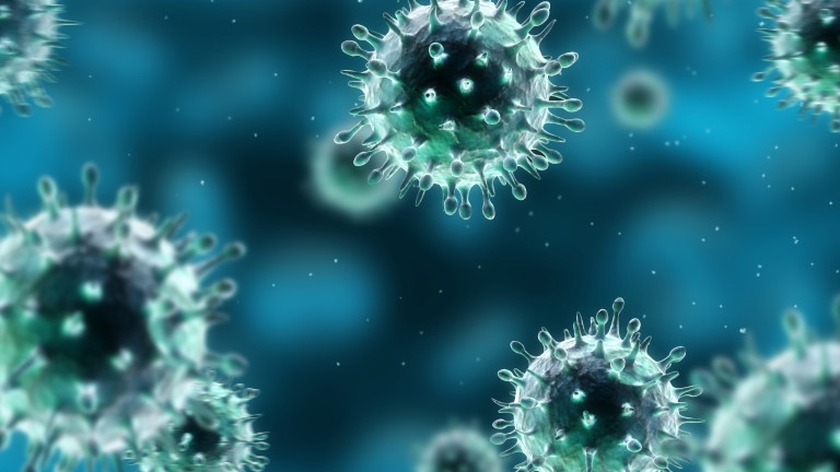 Според проф Георги Попов – началник на клиника по инфекциозни