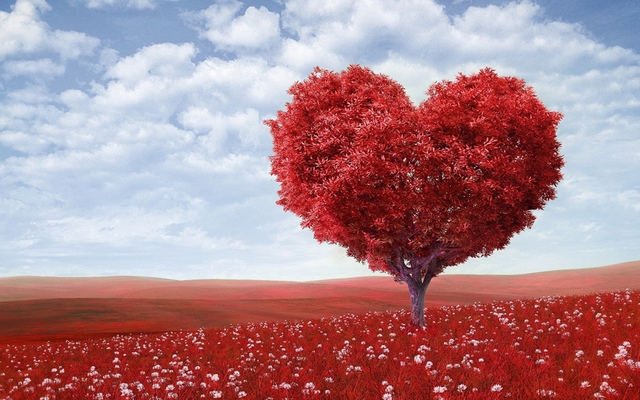 Денят на влюбените, отбелязван на 14 февруари, е ден, посветен