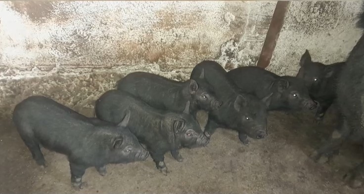 Черен ангел това не е име на парфюм а