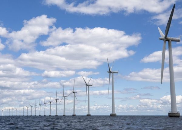 Българските туристически и рибарски сектори както и представители на екологични