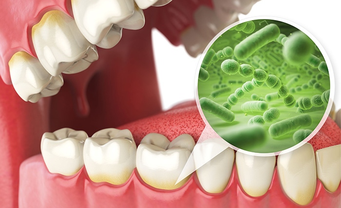 Учени от университета на Осака Япония установиха че при взаимодействието