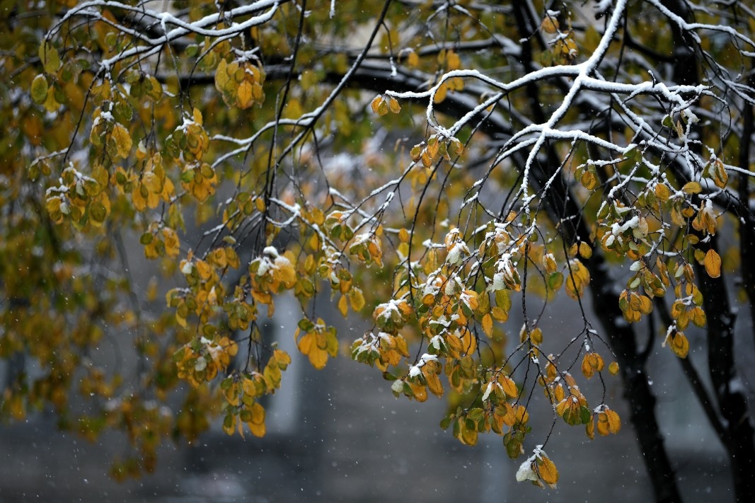 Минималните температури днес ще са между 0° и 6° в