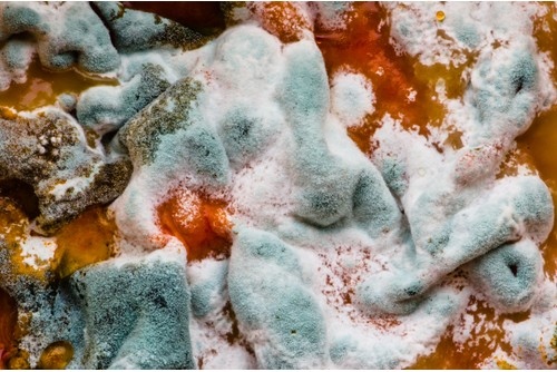 Често хората се сблъскват с проблеми с плачещи прозорци и