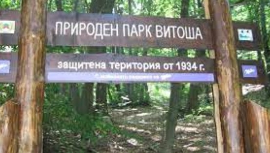 На среща проведена на 21 февруари в присъствието на седем