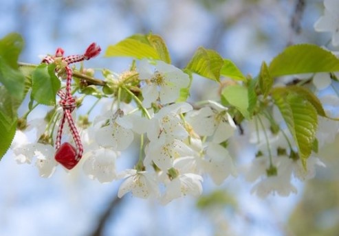 Най ниските температури през март у нас ще бъдат между минус