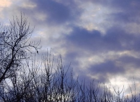 Днес облачността над по голямата част от страната ще бъде разкъсана