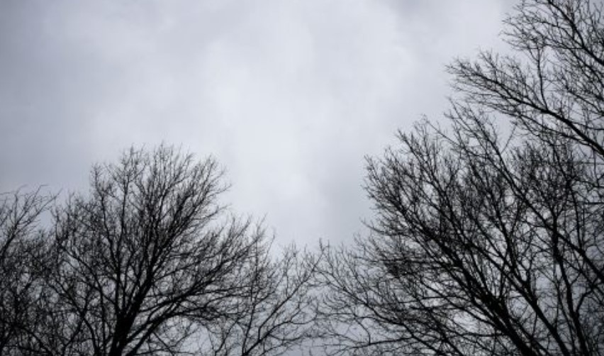 Днес времето ще се задържи облачно на много места в