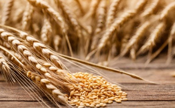 Украйна е готова да приеме ограничения върху търговията си с