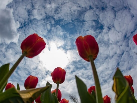 Днес ще се задържи предимно облачно с временни прекъсвания ще