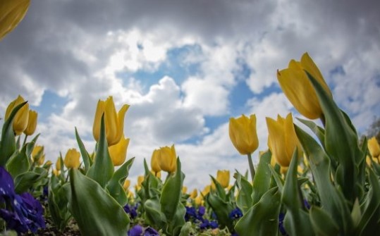 Днес ще се задържи предимно облачно След обяд главно в