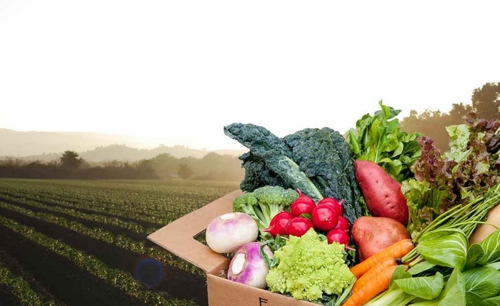 Преговарящите от Съвета на ЕС и Европейския парламент постигнаха съгласие