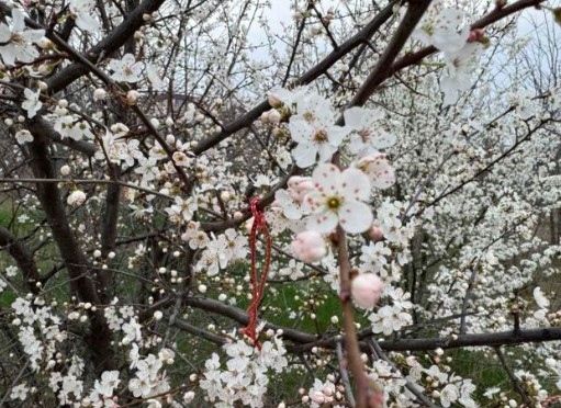 Сутринта на отделни места в котловините от Западна България ще