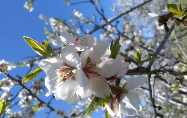 Днес ще бъде предимно слънчево В сутрешните часове в отделни